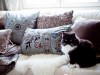 Nya nyanser i rummet intill day-3327